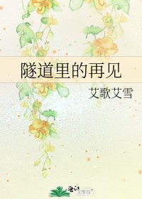隧道里的再见